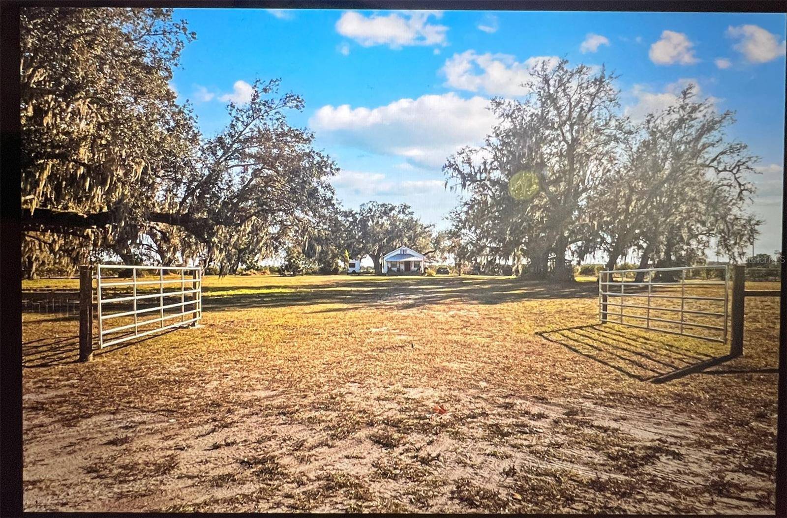 8423 NW PINE LEVEL ST, Arcadia, FL 34266
