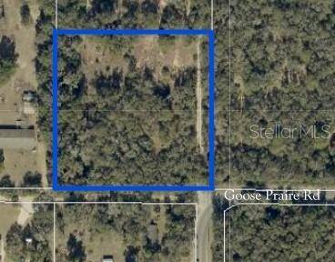 10681 GOOSE PRAIRIE RD, Leesburg, FL 34788