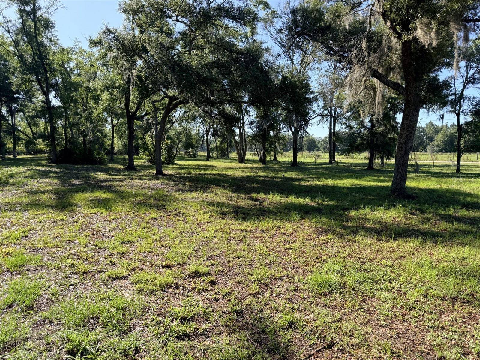 794 NE 521 ST, Old Town, FL 32680