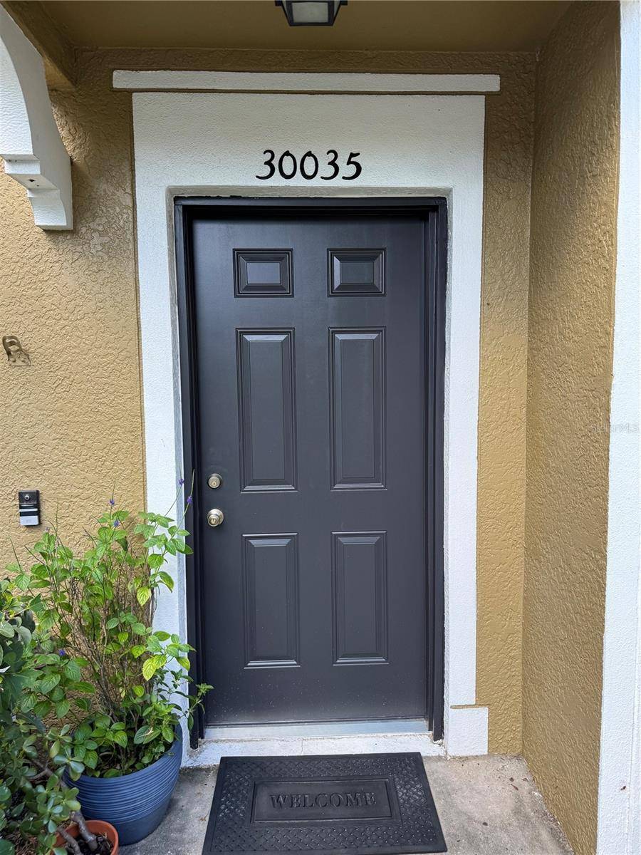 30035 GRANDA HILLS CT, Wesley Chapel, FL 33543