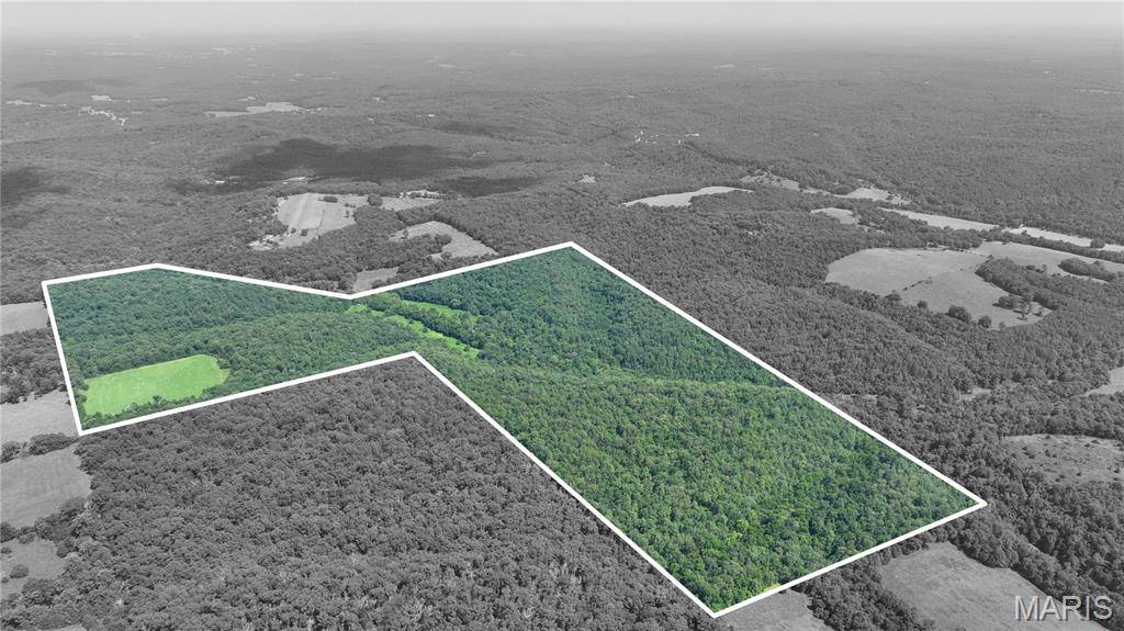0 County Road 76-225, Ava, MO 65608