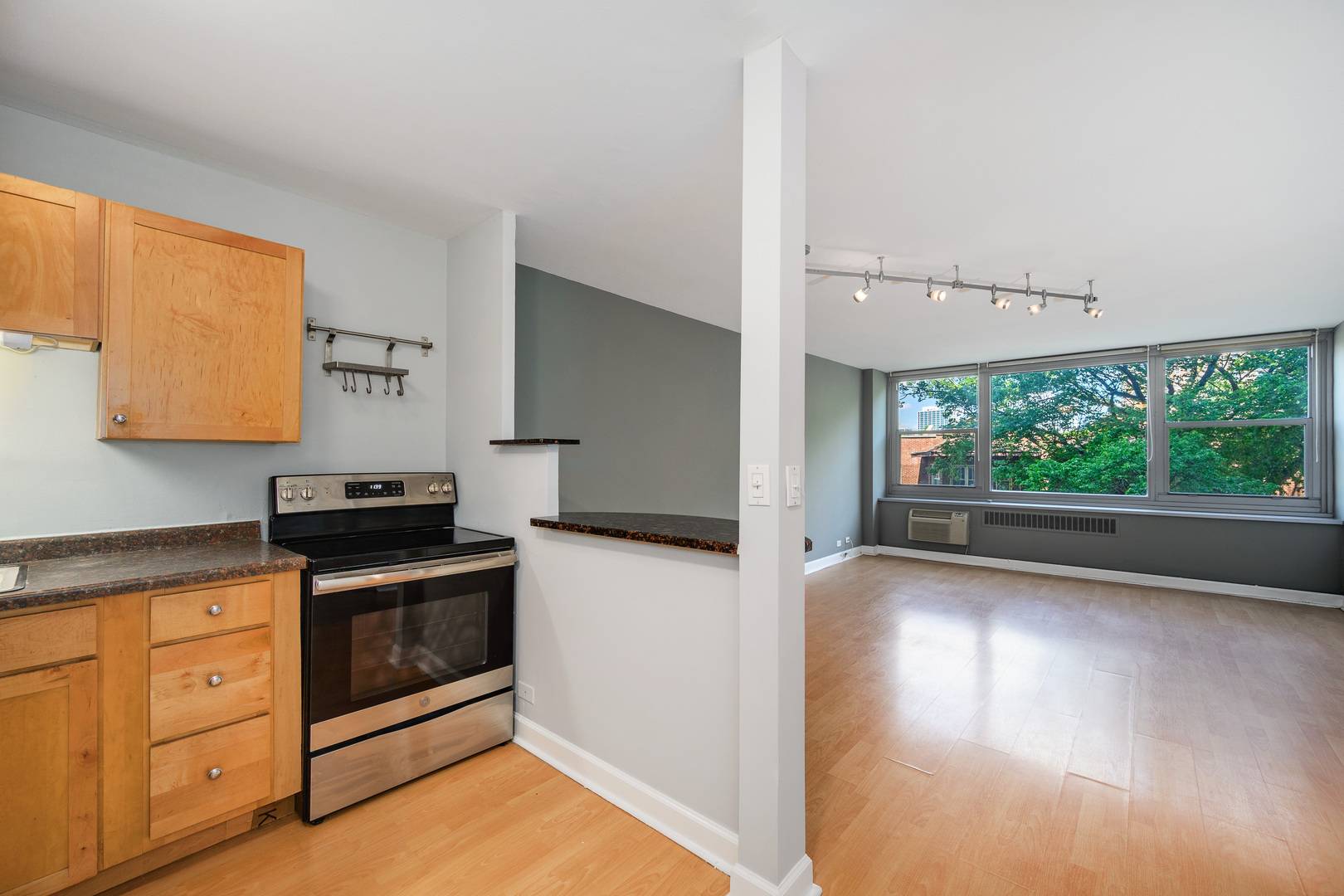 555 W Cornelia AVE #403, Chicago, IL 60657