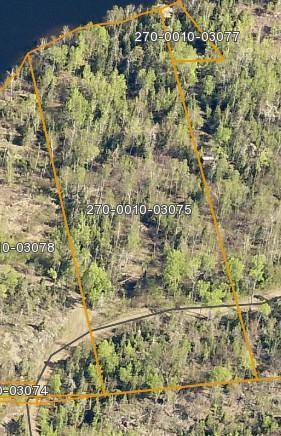 TBD Armstrong Bay Road, Tower, MN 55790