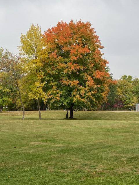31281 Brightwood Shore DR, Dent, MN 56528