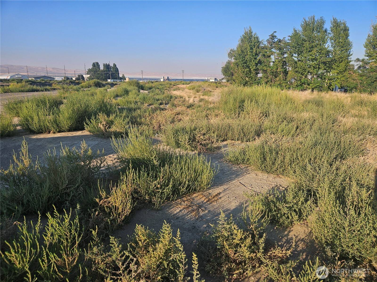 0 West Canal Hwy 28, Quincy, WA 98848