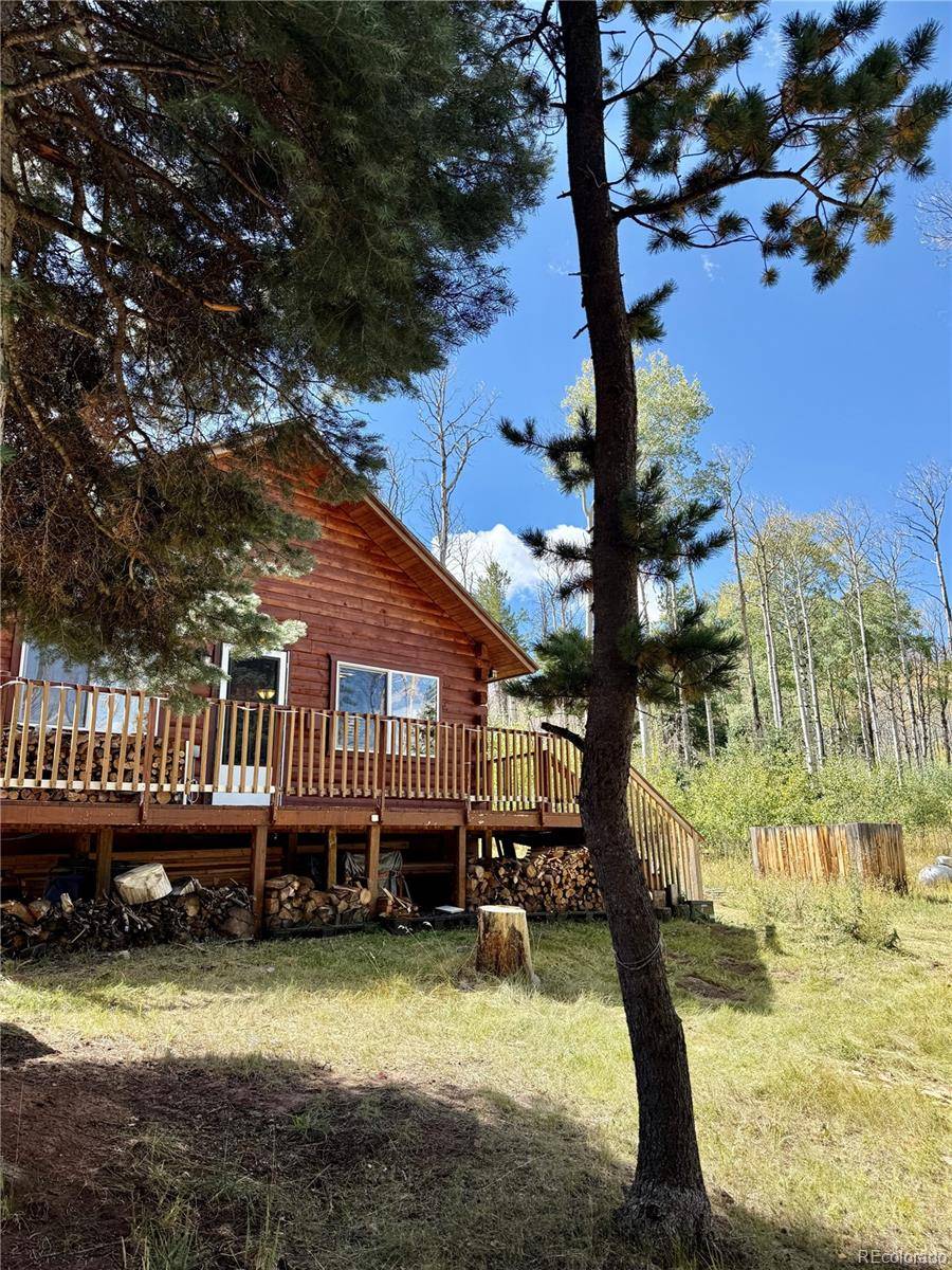 1939 Korlkoff LN, Fort Garland, CO 81133