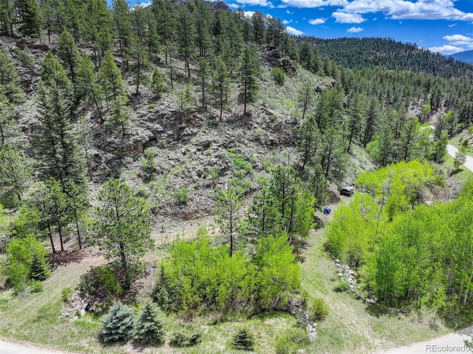 400 Crow Valley RD, Bailey, CO 80421