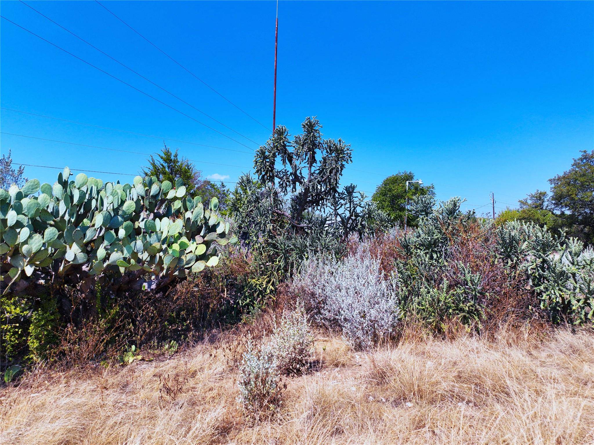 25000 Andrew DR, Spicewood, TX 78669