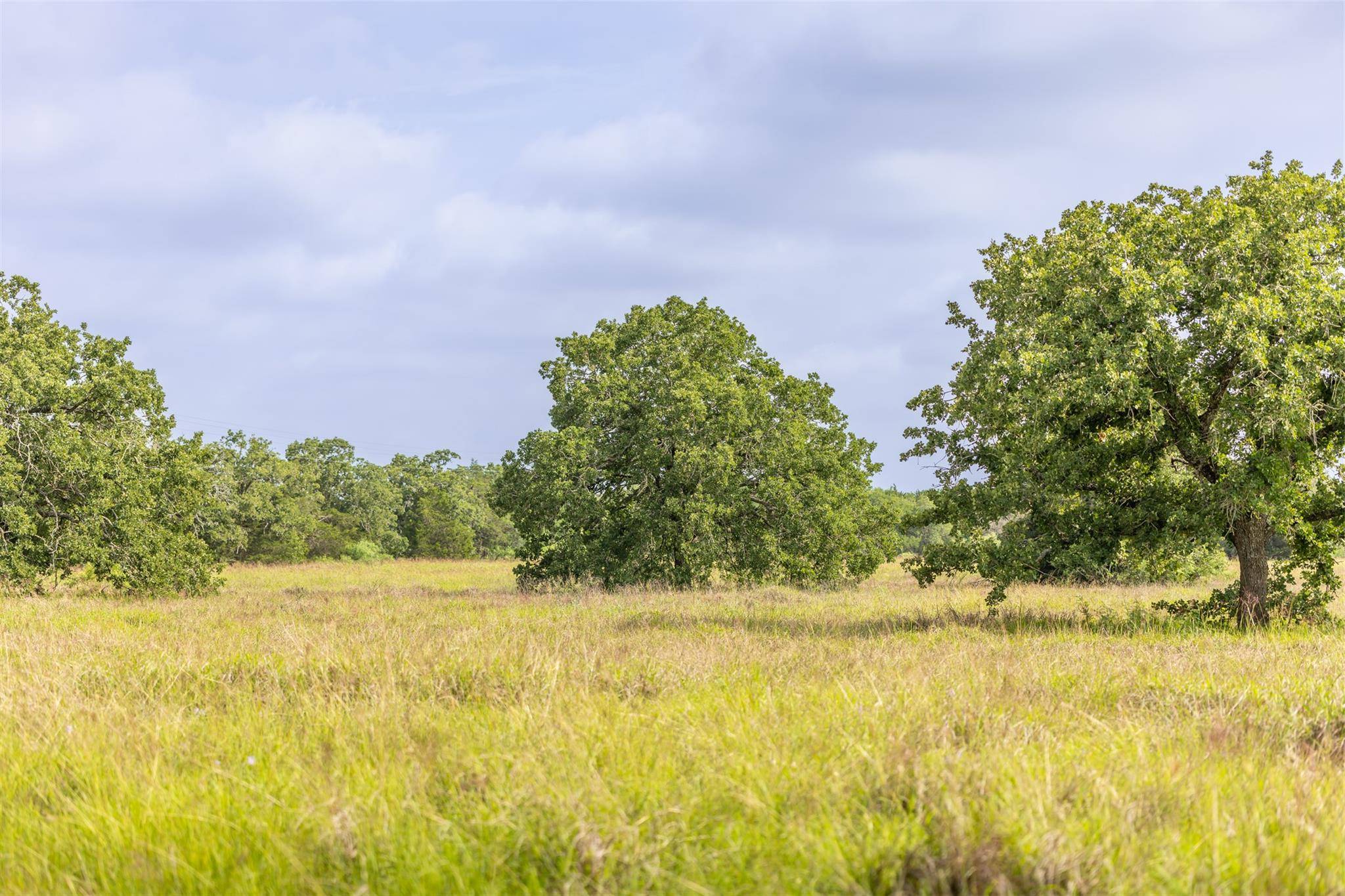 TBD US Hwy 77 S, Giddings, TX 78942