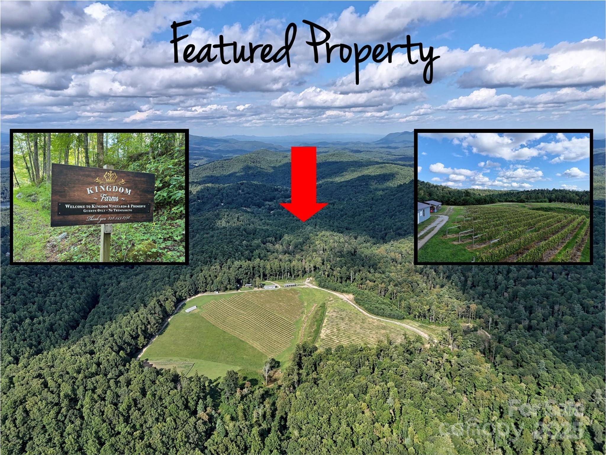781 Payne DR, Zirconia, NC 28790