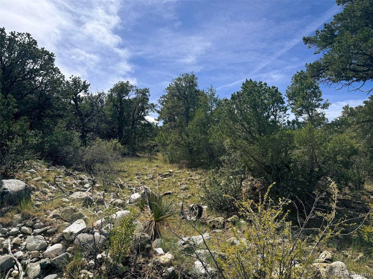 421 Lake Of The Falls, Mosca, CO 81146