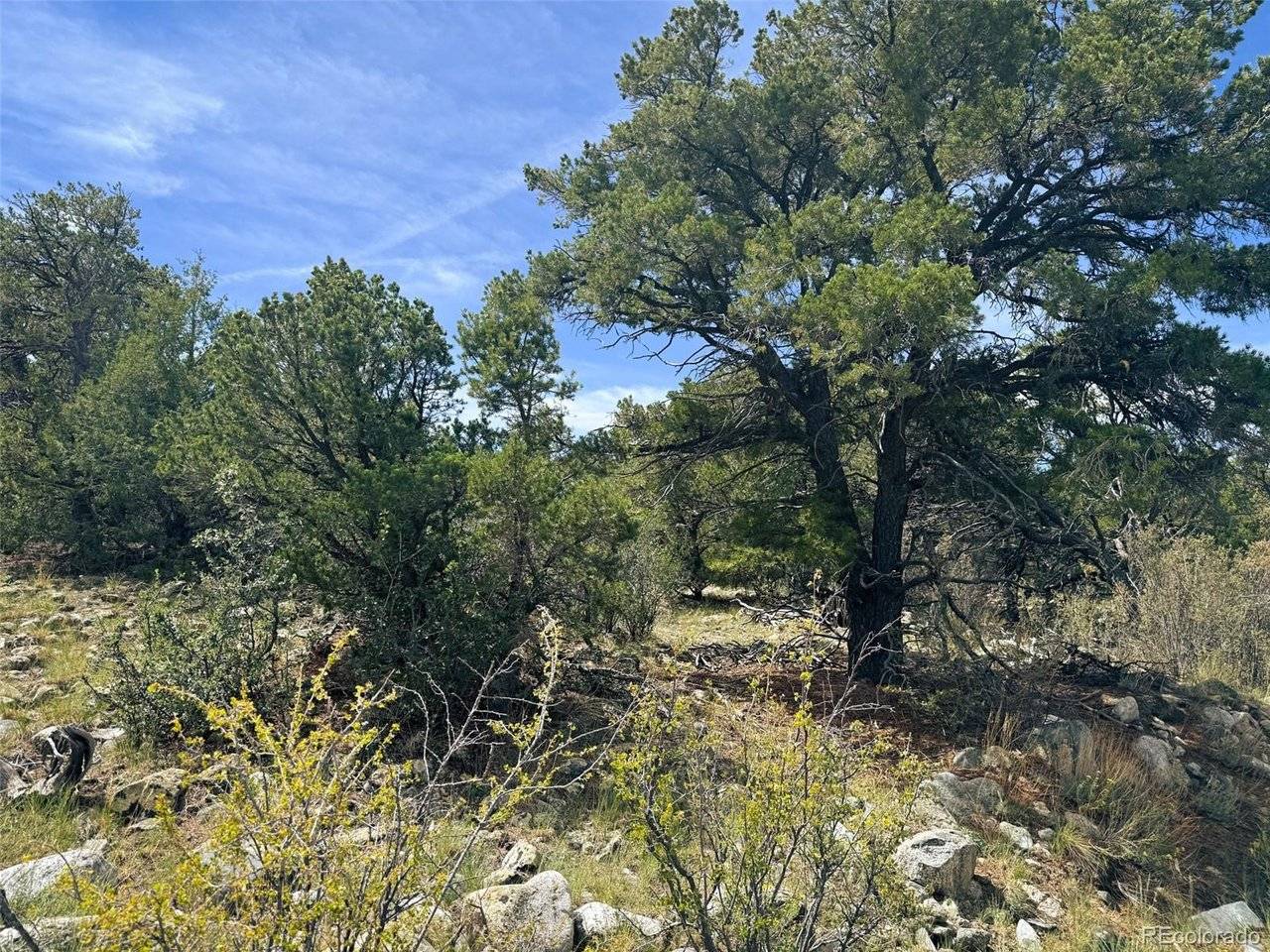 421 Lake Of The Falls, Mosca, CO 81146