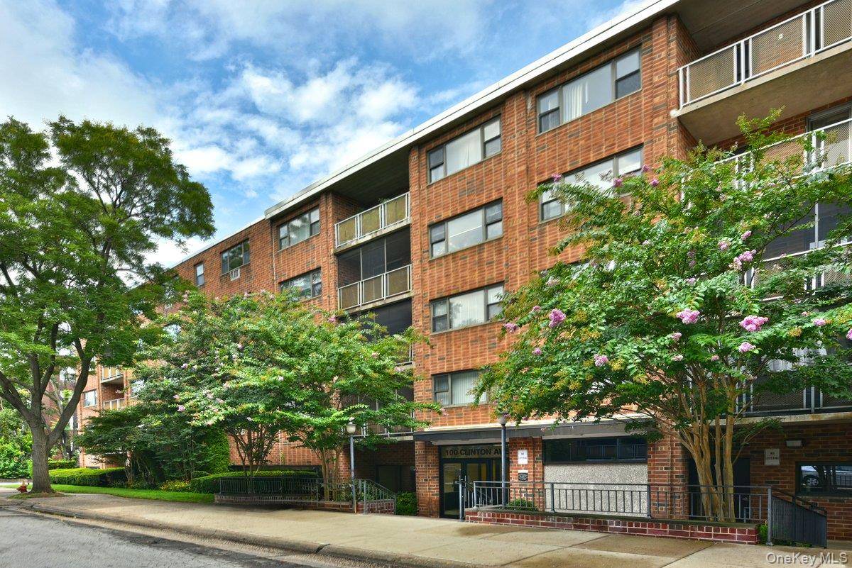 100 Clinton AVE #4N, Mineola, NY 11501