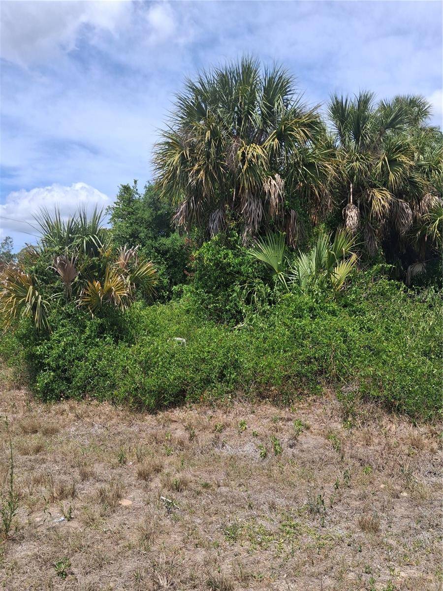 N HOLLOWAY AVE, North Port, FL 34288