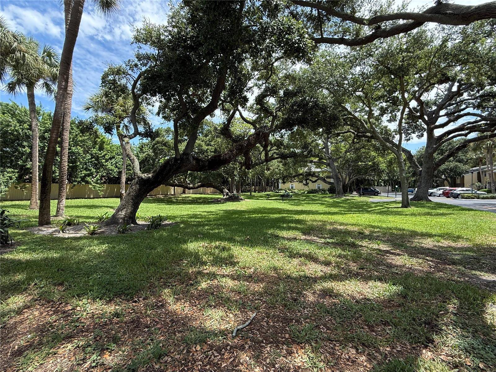 3001 58TH AVE S #613, St Petersburg, FL 33712