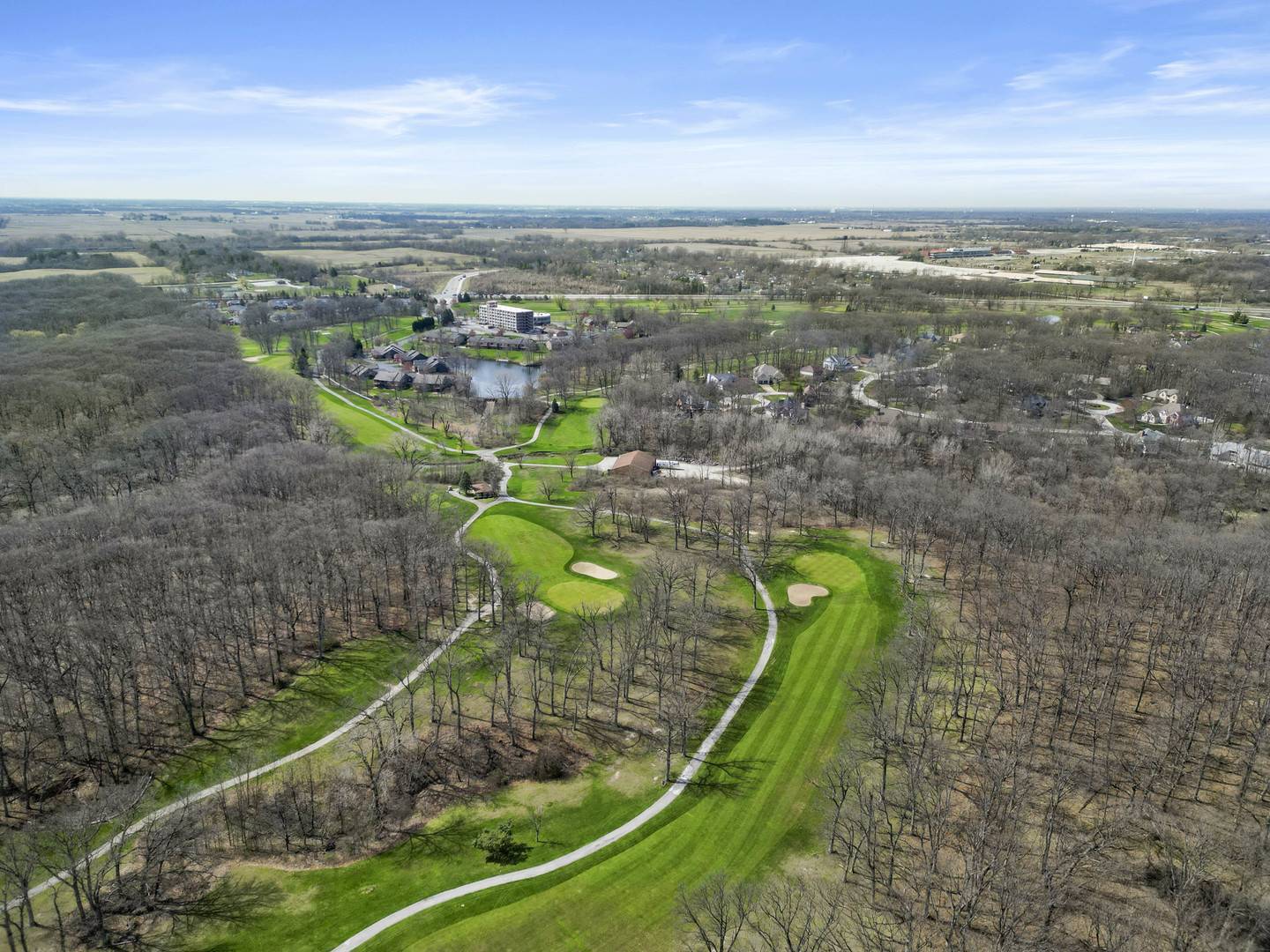 26732 S Balmoral Woods DR, Crete, IL 60417