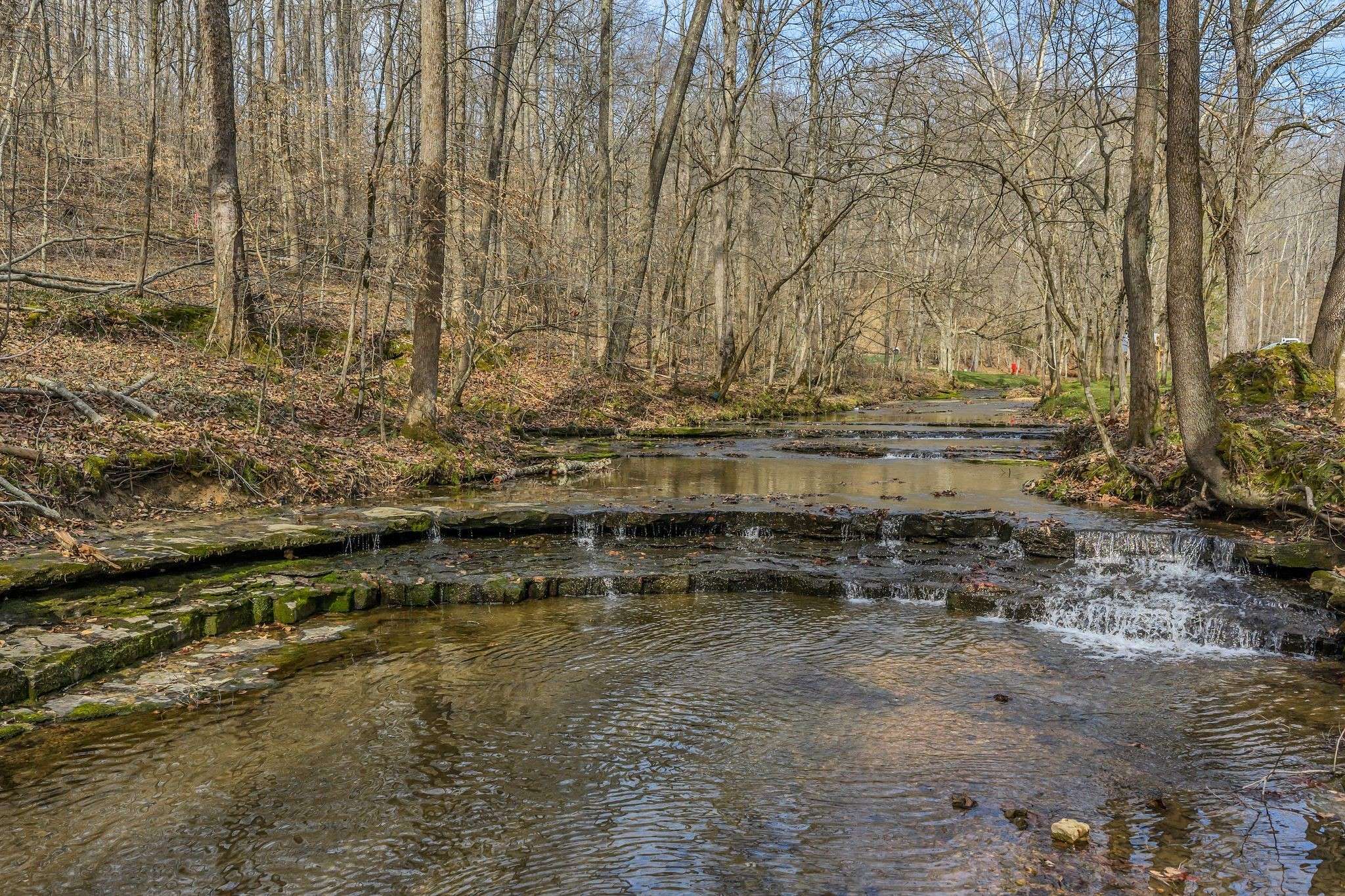 7575 King Rd, Fairview, TN 37062