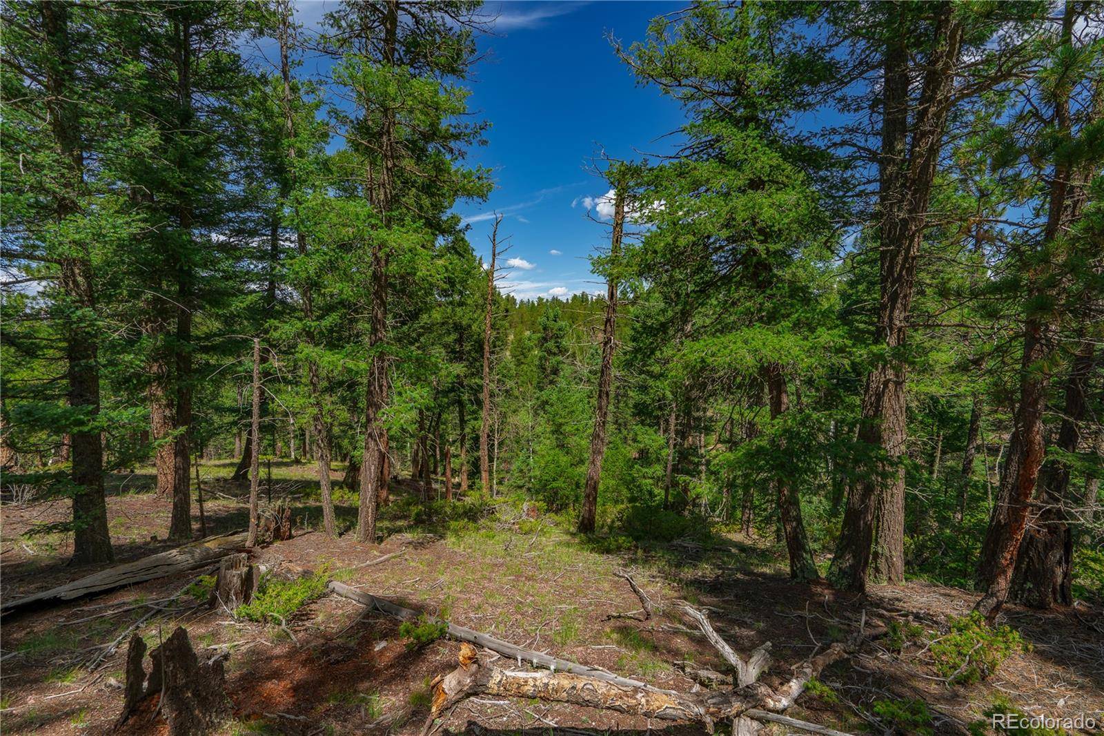 384 Insmont LN, Florissant, CO 80816