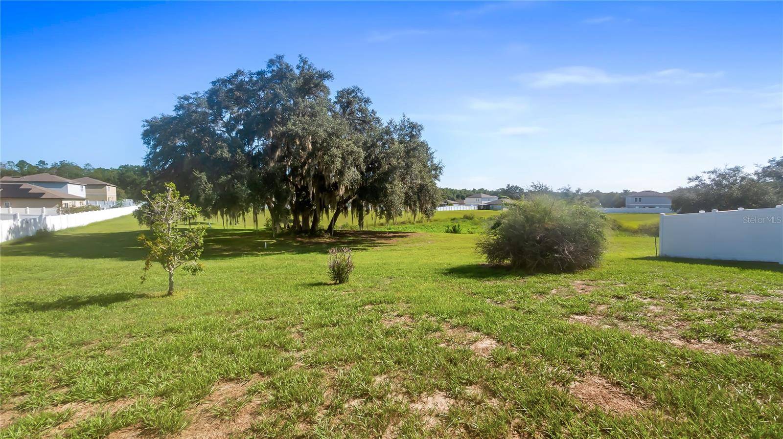 15409 IVORY GULL LN, Mascotte, FL 34753
