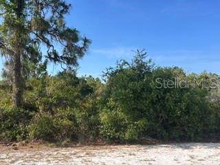 713 (BLK 123 LOTS 15&16) CAMELLIA DR, Indian Lake Estates, FL 33855