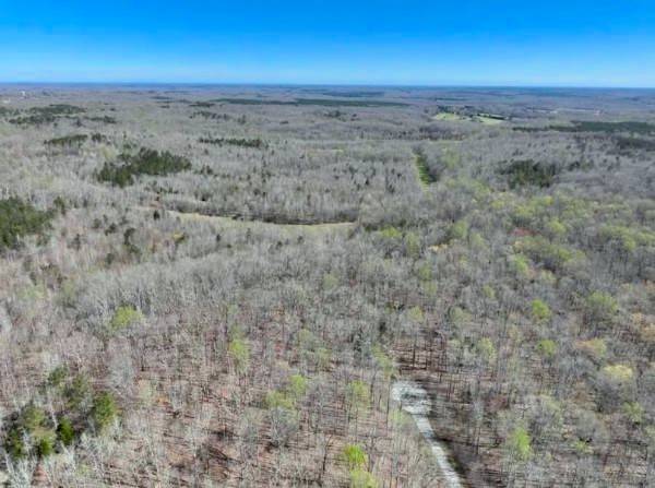 255 War Eagle Drive, Cedar Grove, TN 38321