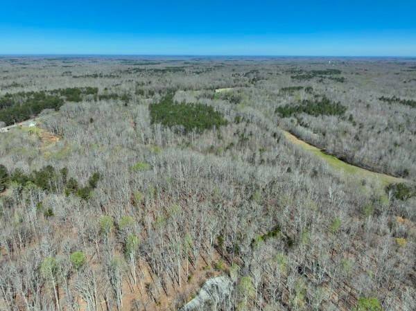 255 War Eagle Drive, Cedar Grove, TN 38321