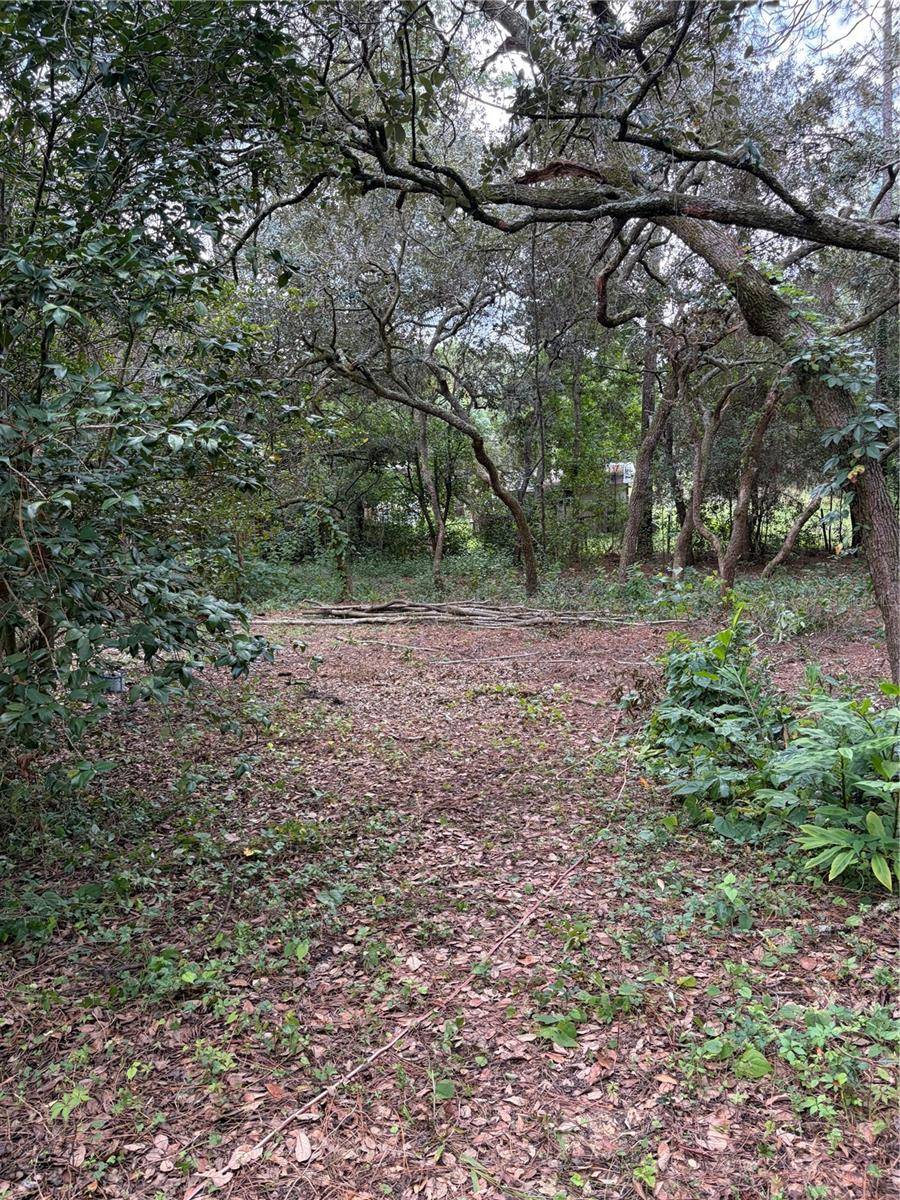 4555 SW 175 CT, Dunnellon, FL 34431