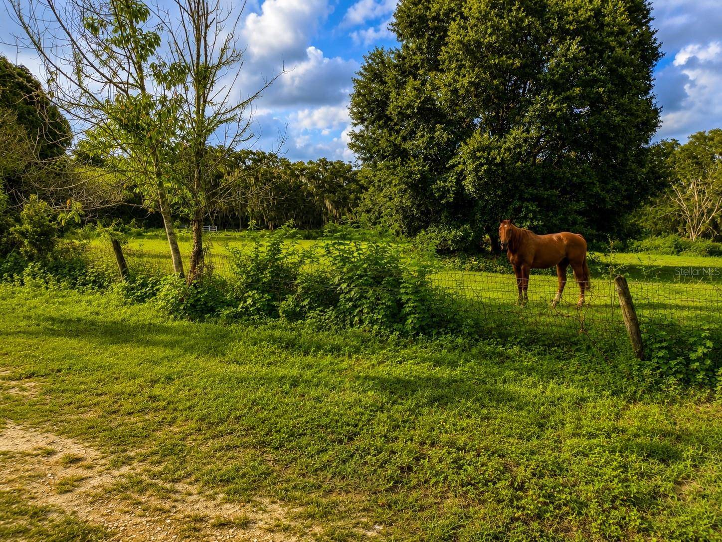 3230 SATURN RD, Brooksville, FL 34604