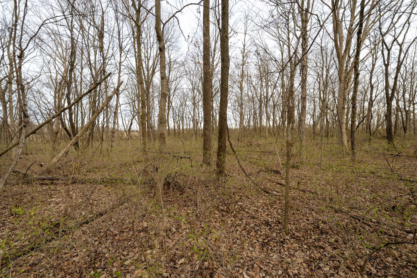 Lot 9 Raintree Woods DR, Urbana, IL 61802