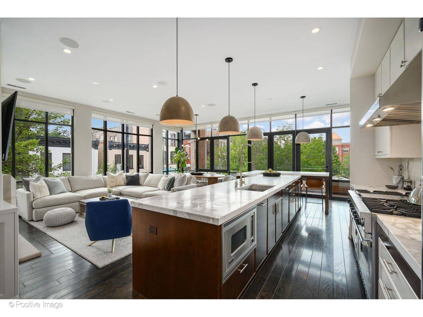 2117 N Halsted ST #PH, Chicago, IL 60614