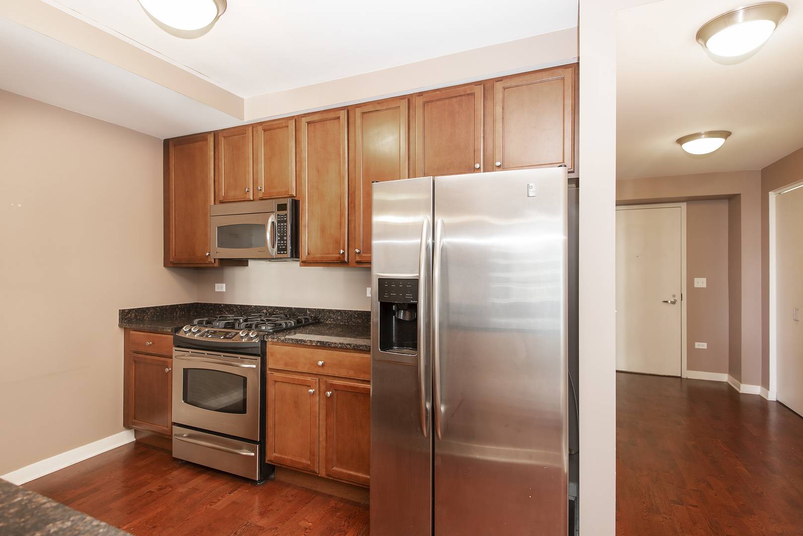 1160 S Michigan AVE #2506, Chicago, IL 60605