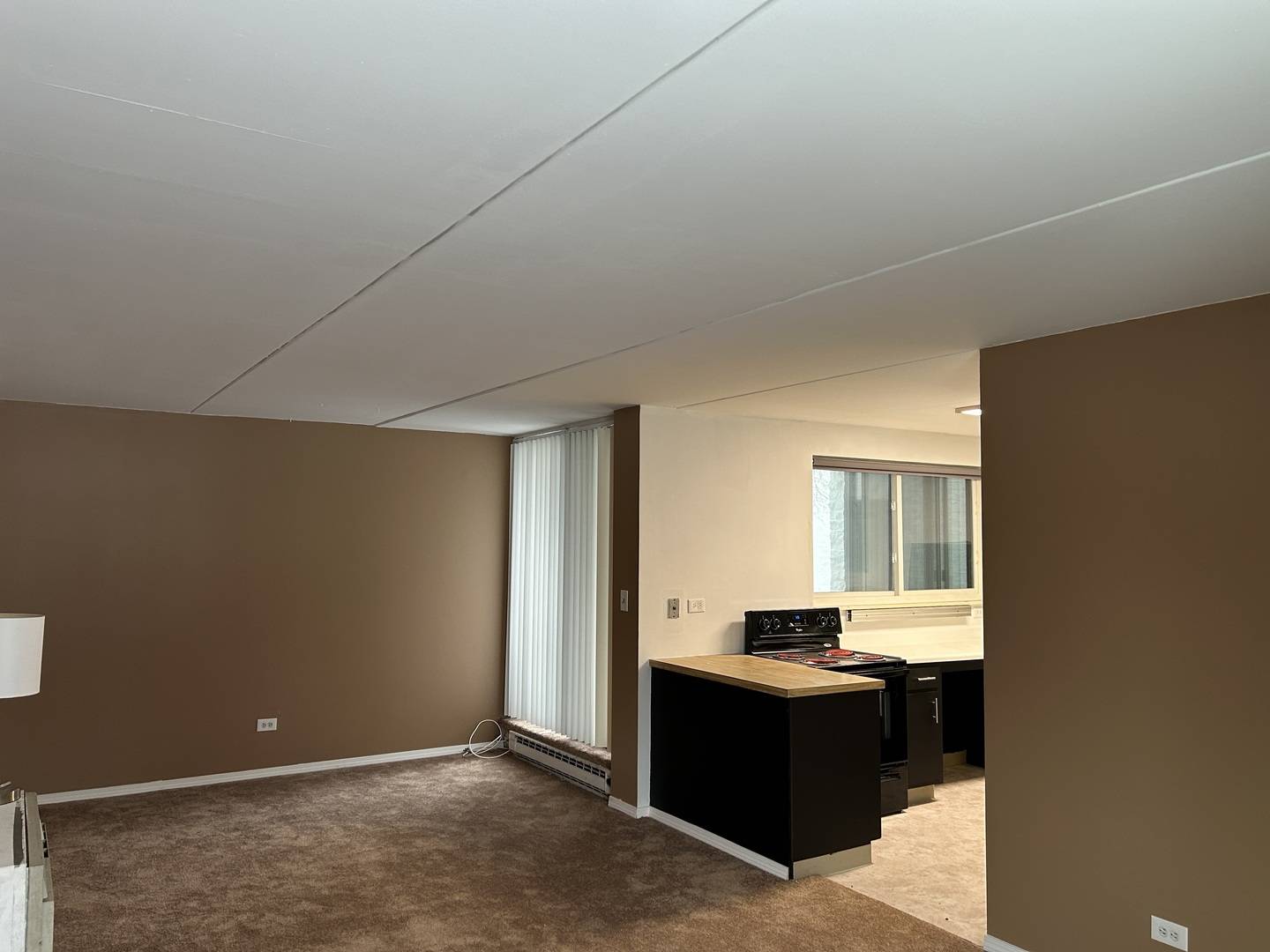 366 W Miner ST #2A, Arlington Heights, IL 60005