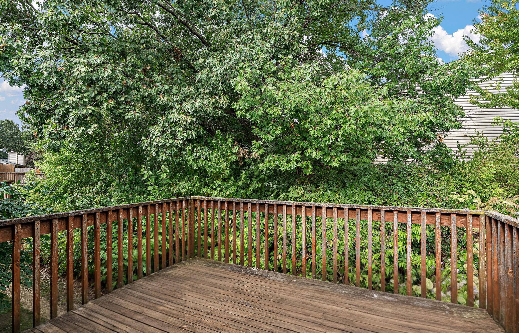 408 Pleasant DR, Hastings, MN 55033