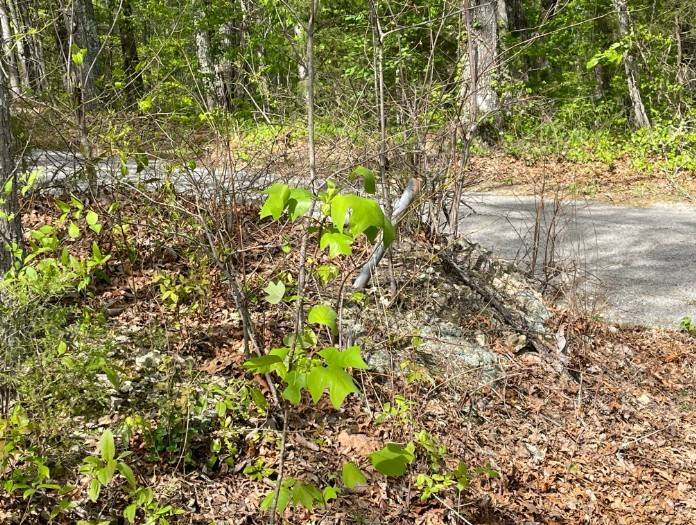 0 Hurricane Drive, Smithville, TN 37166