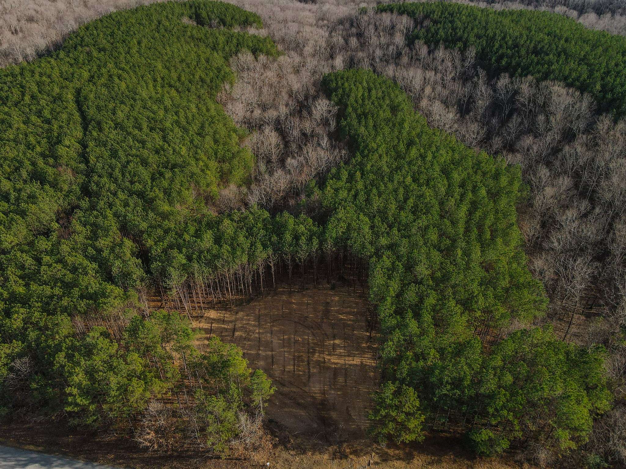 0 Brush Creek Rd, Hohenwald, TN 38462