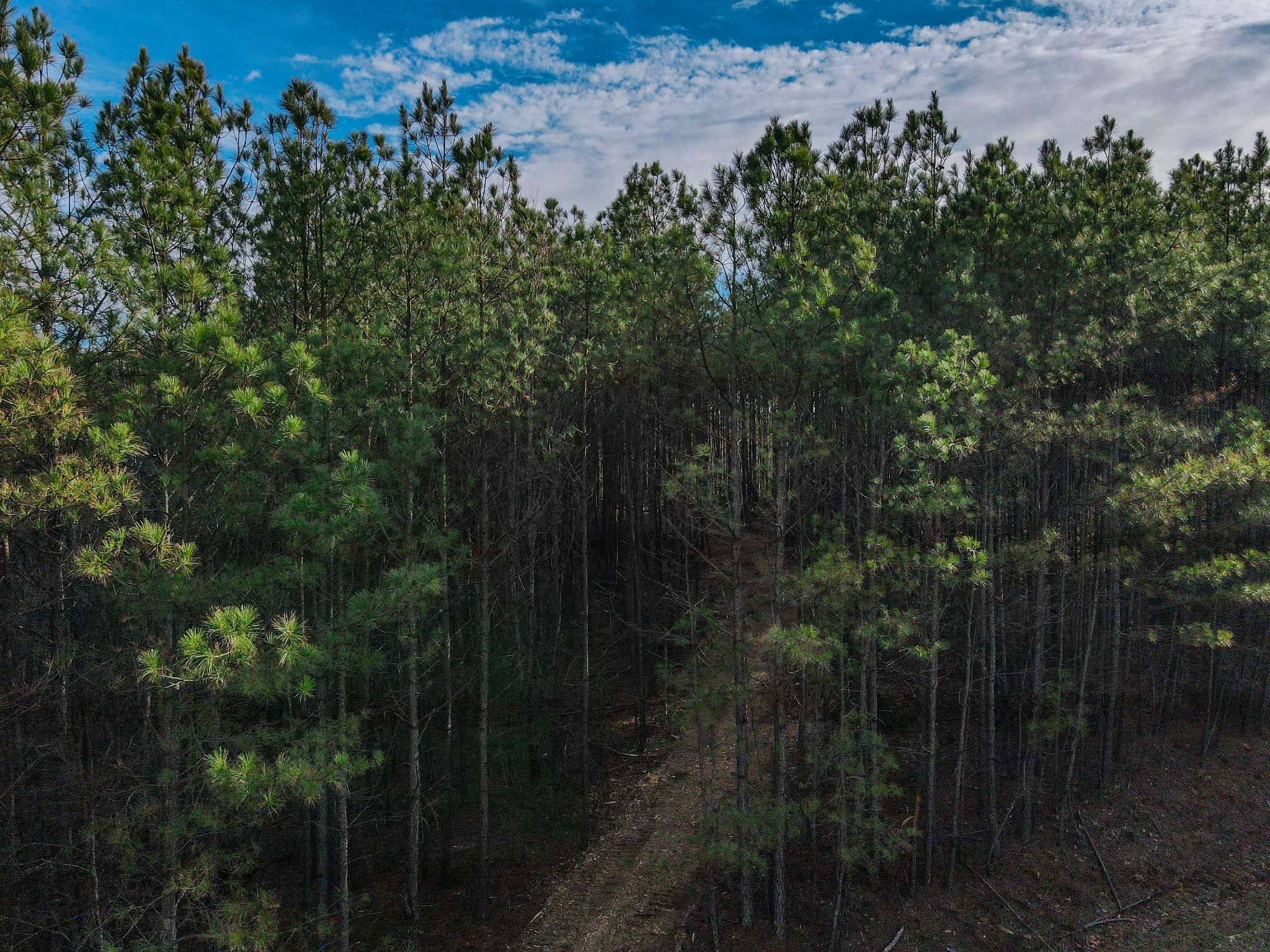 0 Brush Creek Rd, Hohenwald, TN 38462