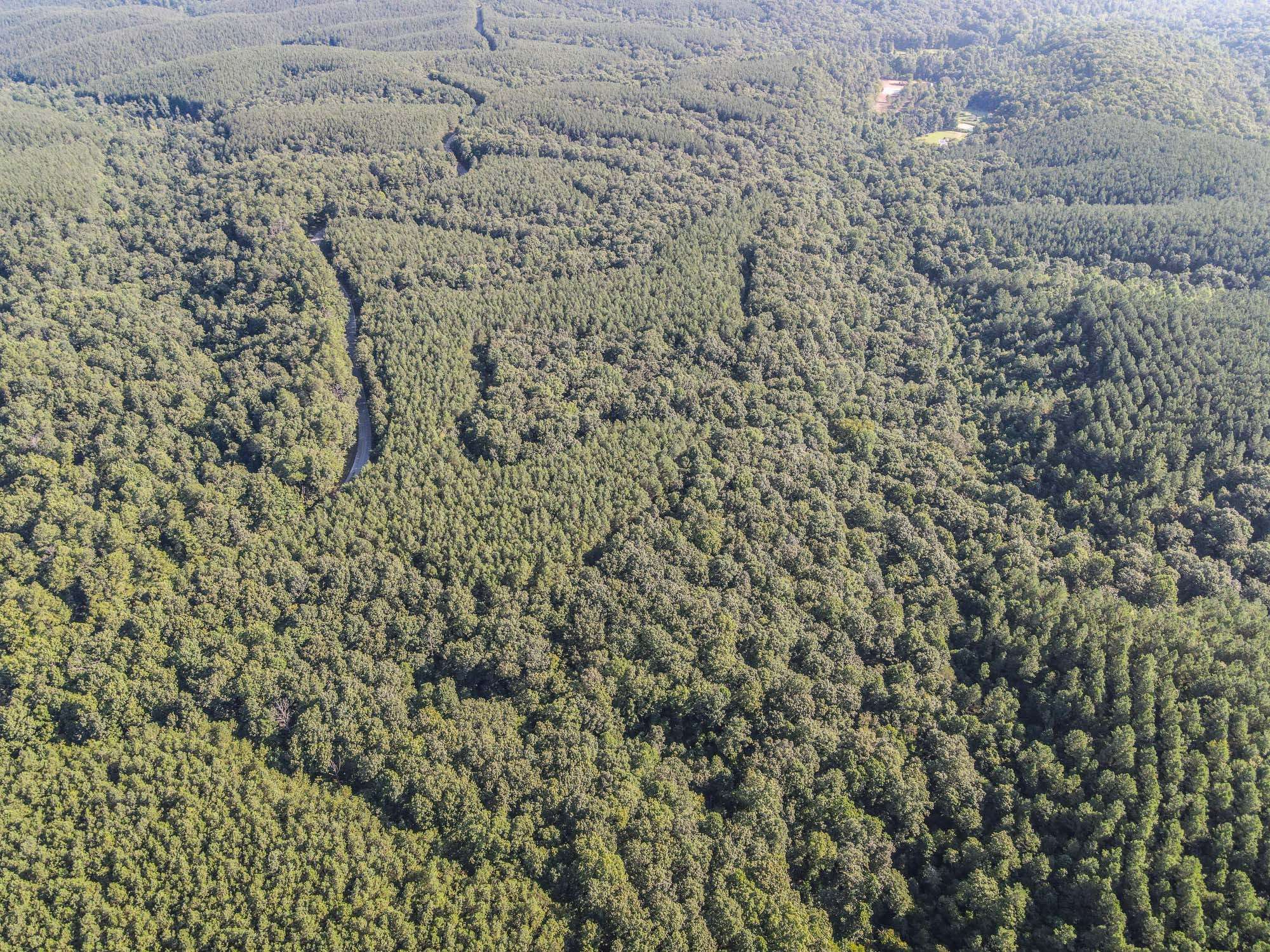 0 Brush Creek Rd, Hohenwald, TN 38462