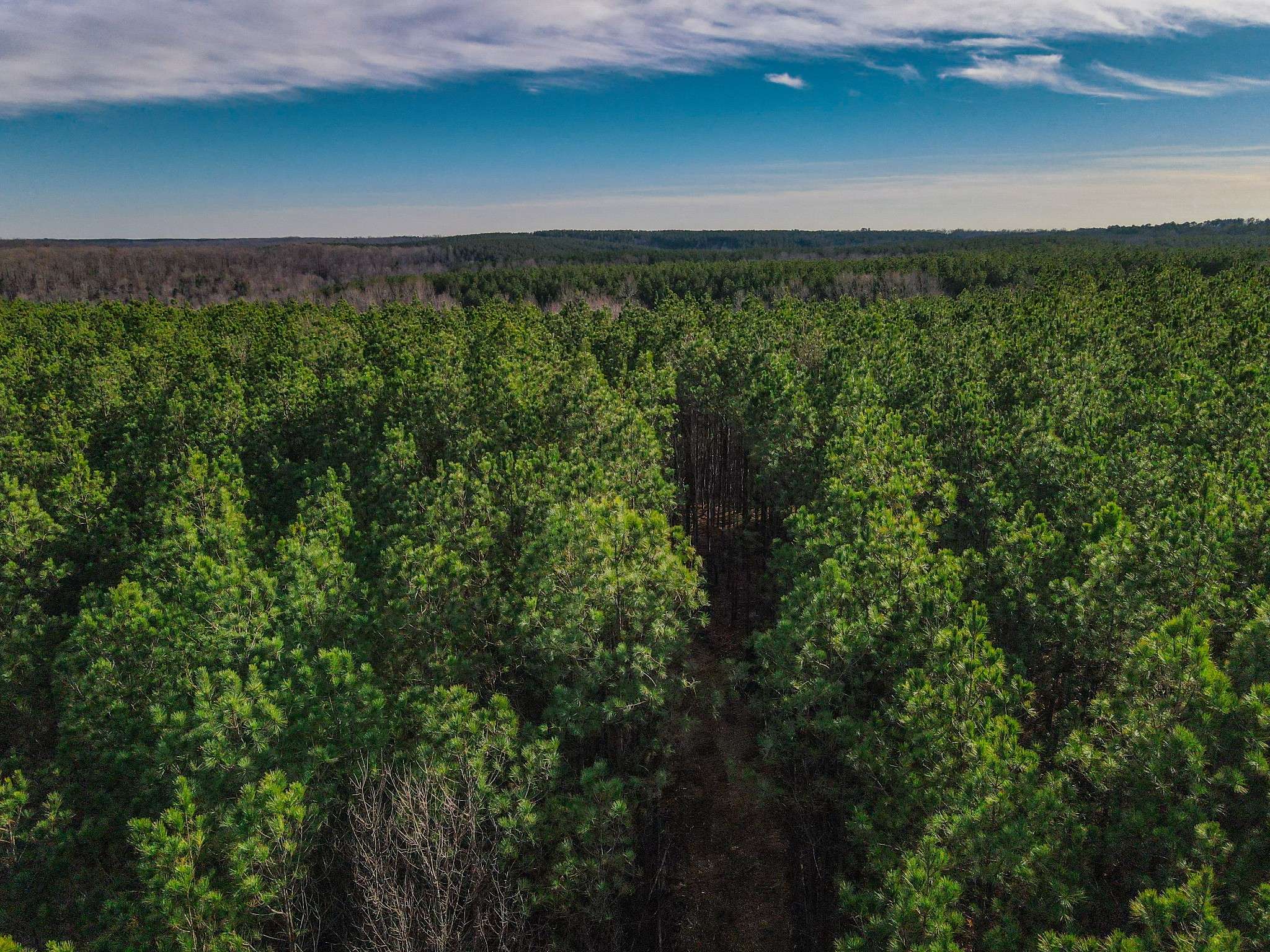 0 Brush Creek Rd, Hohenwald, TN 38462