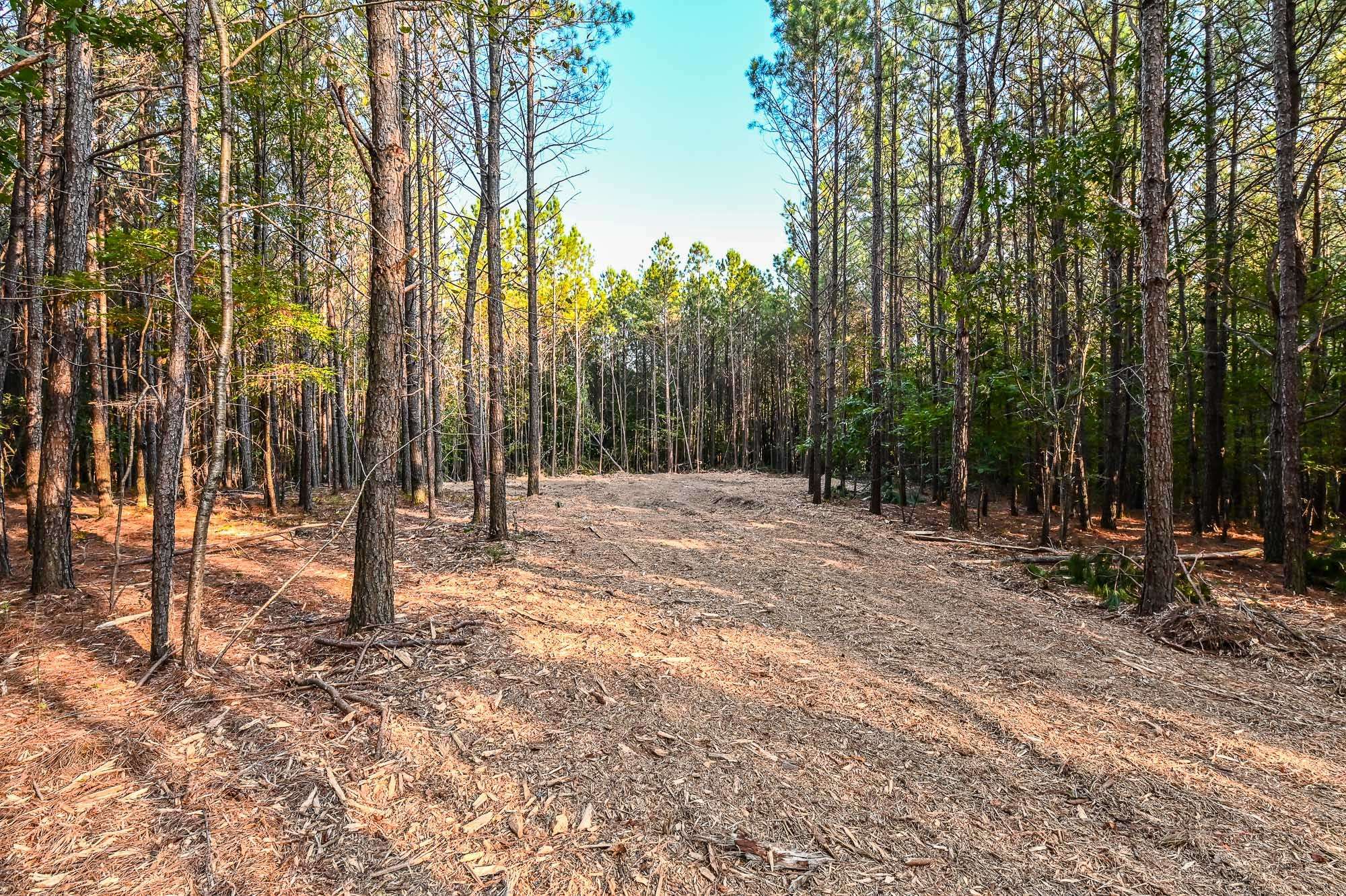 0 Brush Creek Rd, Hohenwald, TN 38462