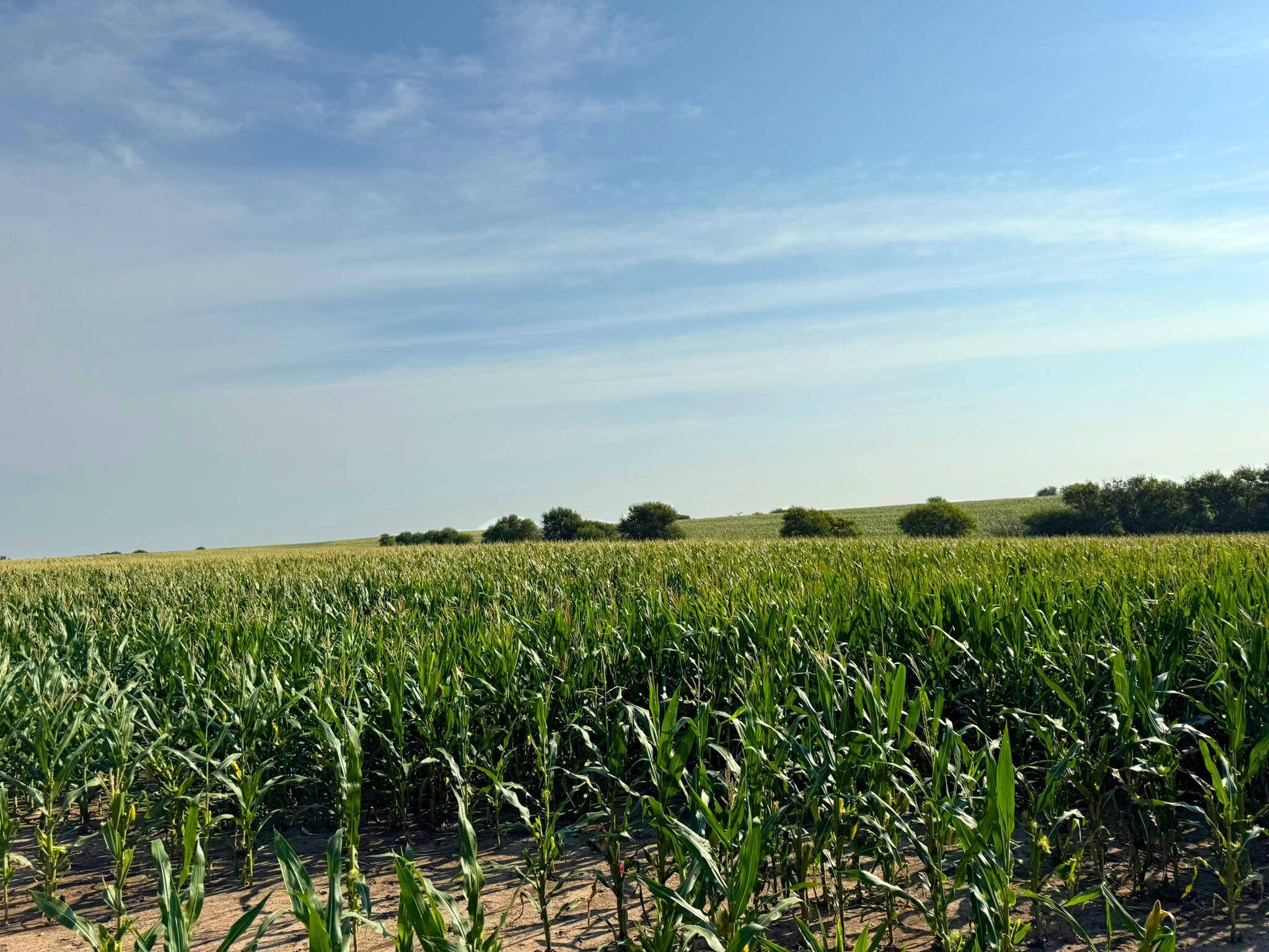 00000 Windmill Road, Ada, KS 67467