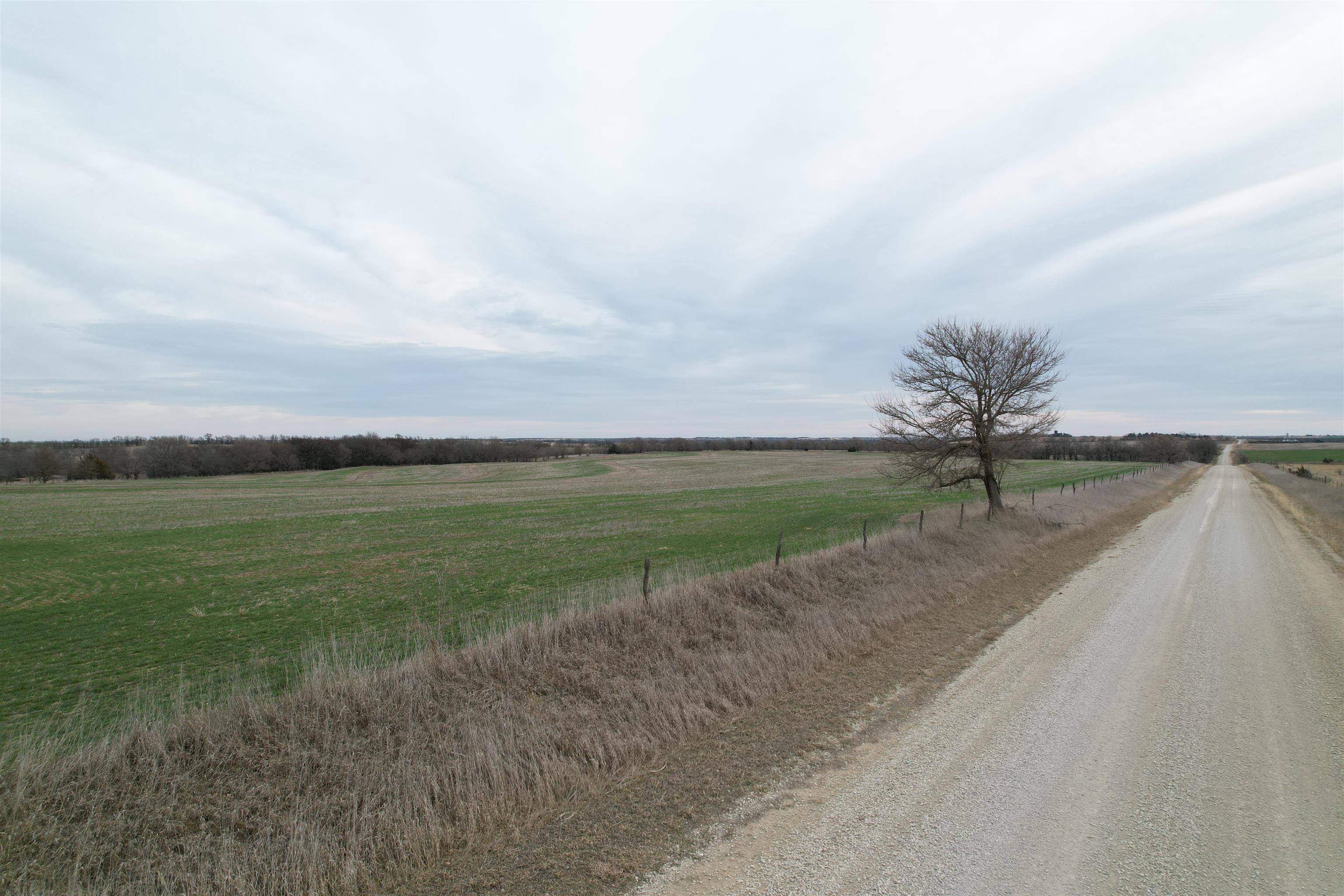 0000 Daisy Road, Carlton, KS 67448