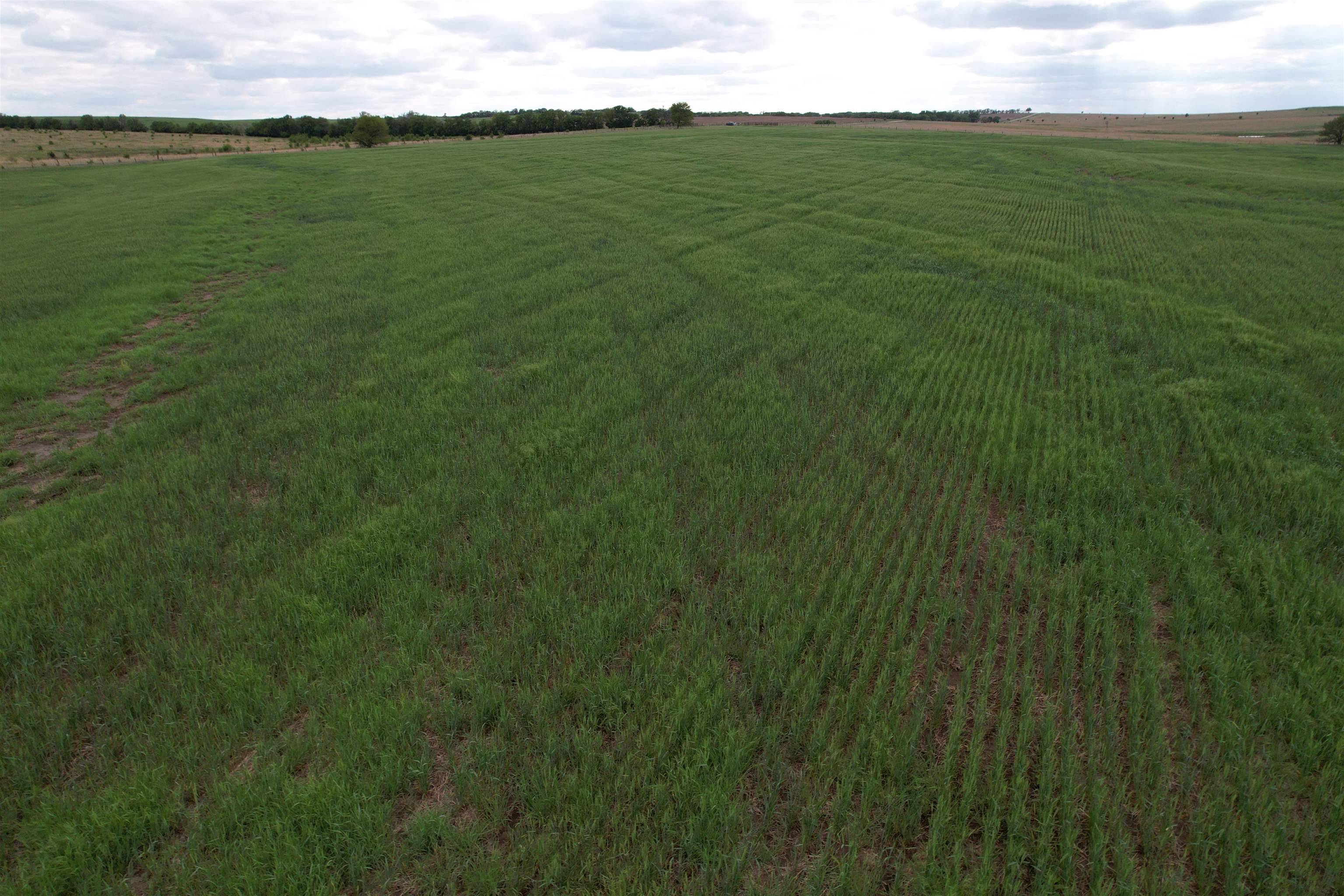 0000 Daisy Road, Carlton, KS 67448