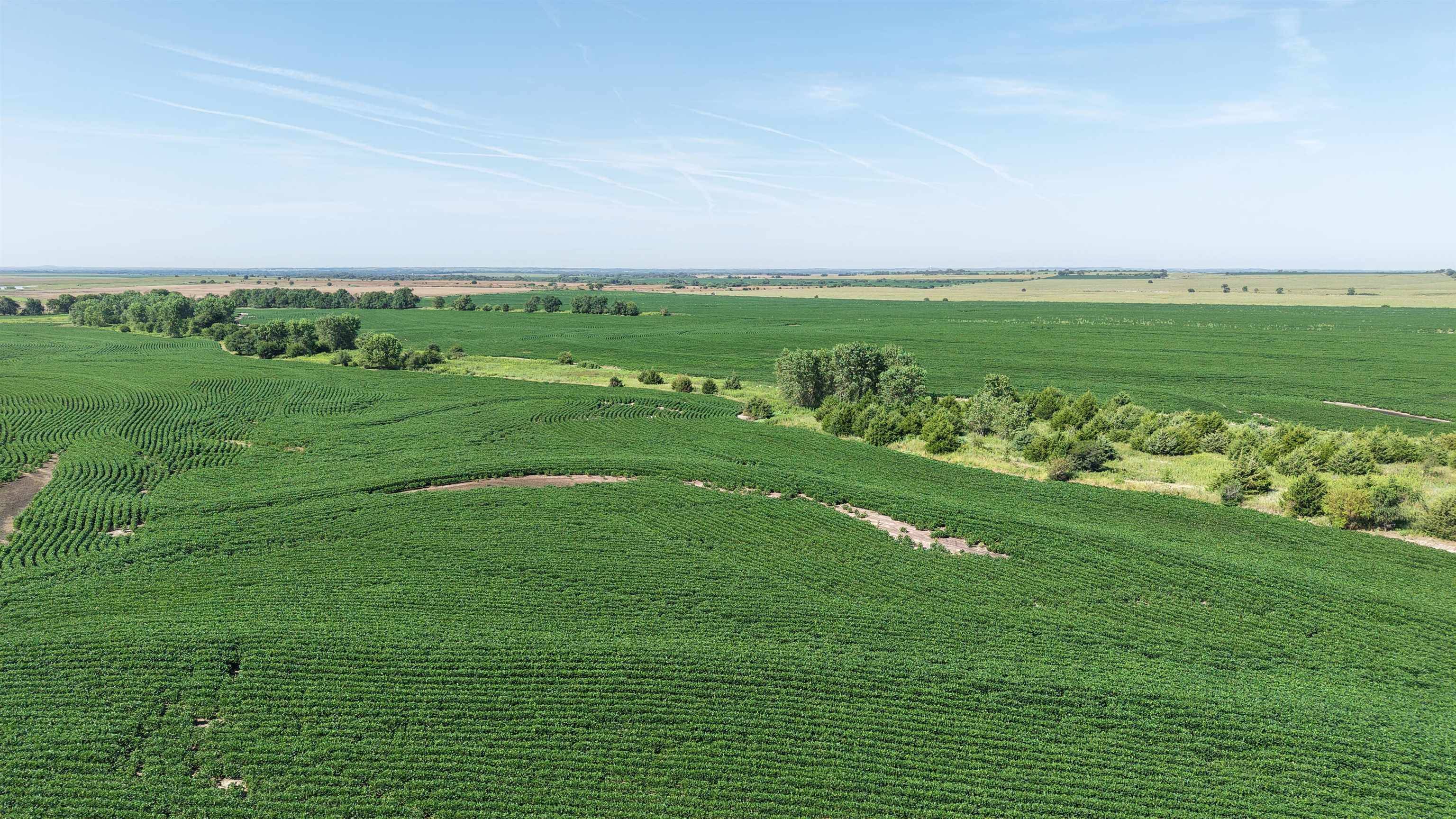 00000 Dove Road, Solomon, KS 67480