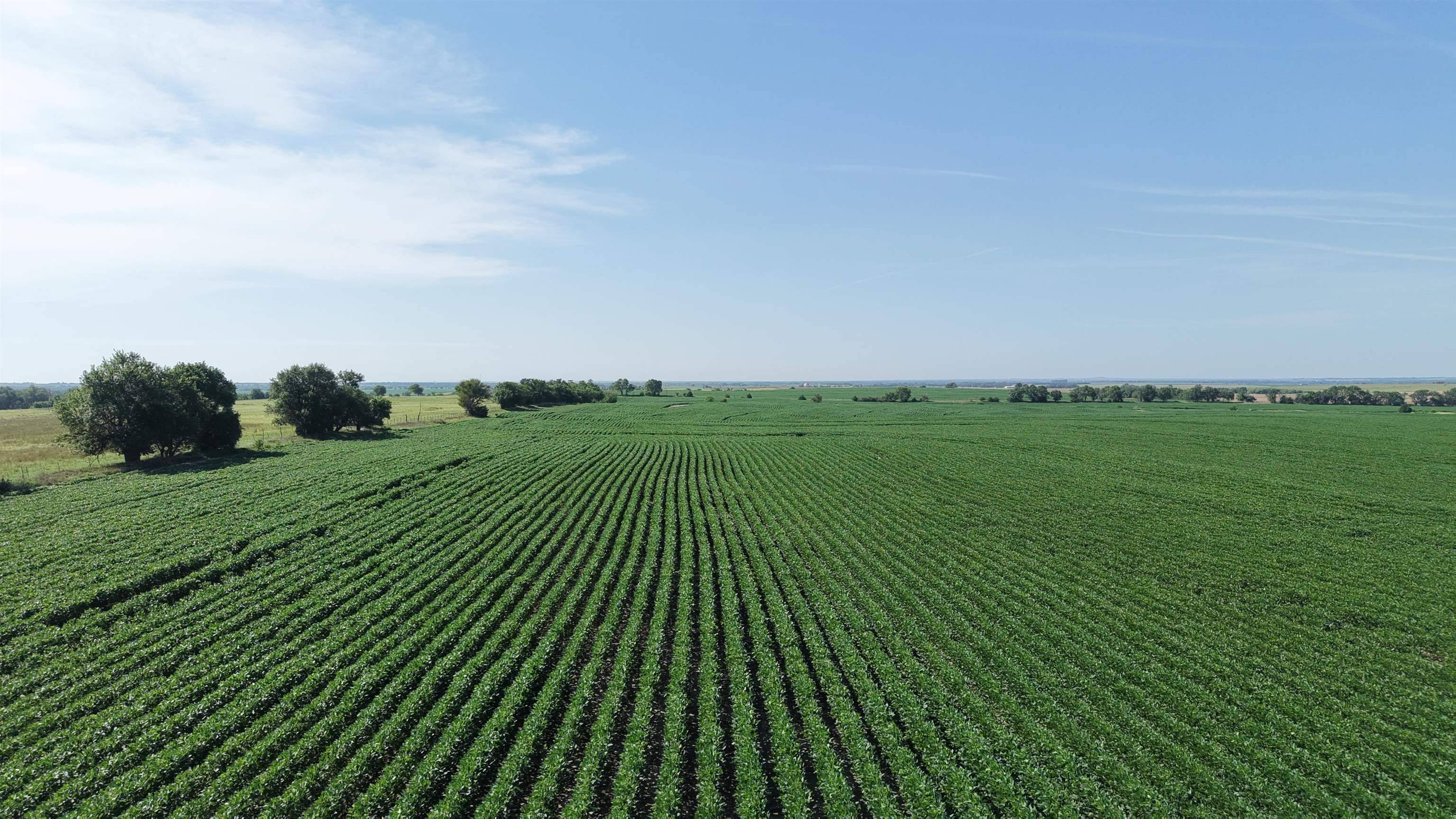 00000 Dove Road, Solomon, KS 67480