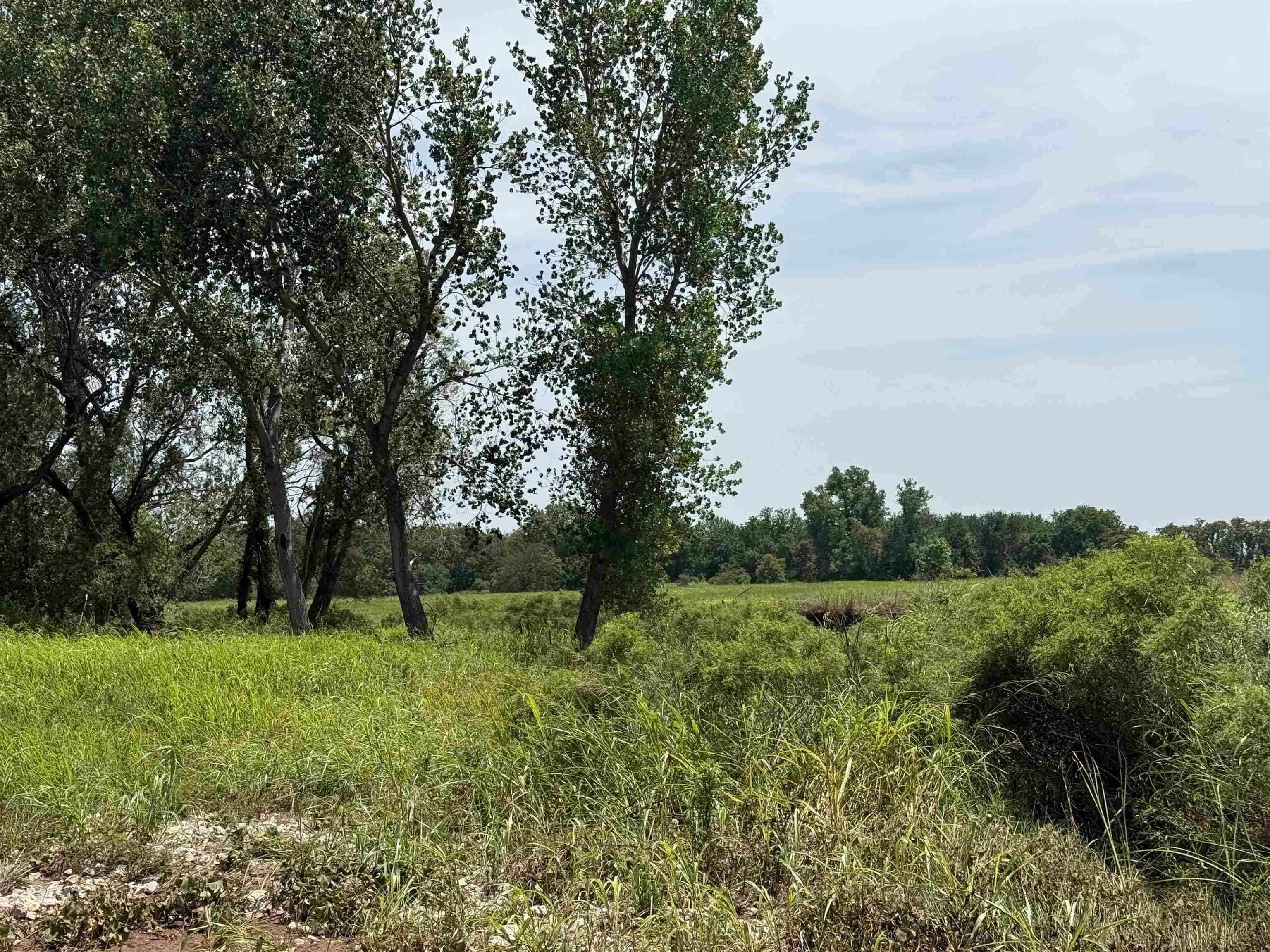 S Argonia Rd & W 100th St, Caldwell, KS 67022