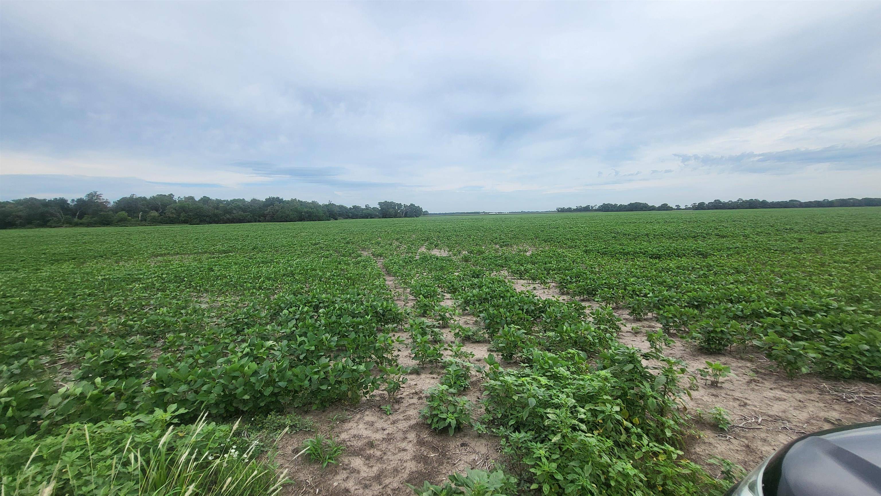 0000 N 22nd Avenue & Eisenhower Road, Moundridge, KS 67107