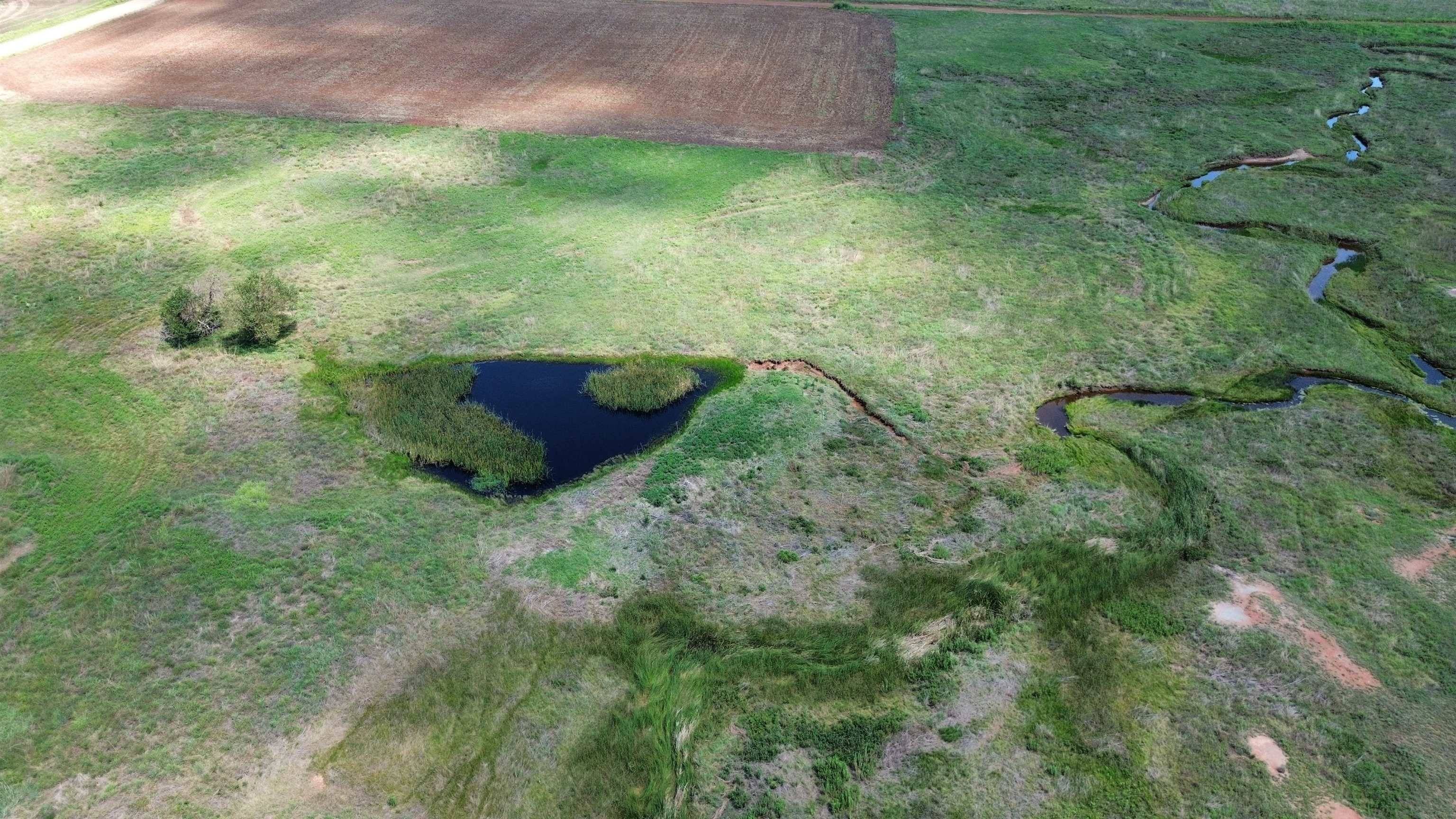 Argonia Road, Caldwell, KS 67022