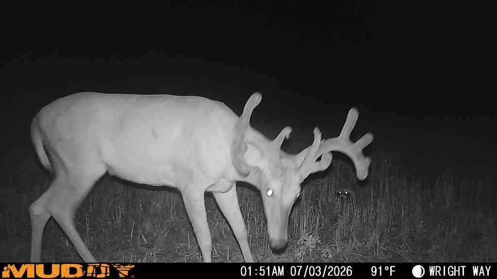 Argonia Road, Caldwell, KS 67022