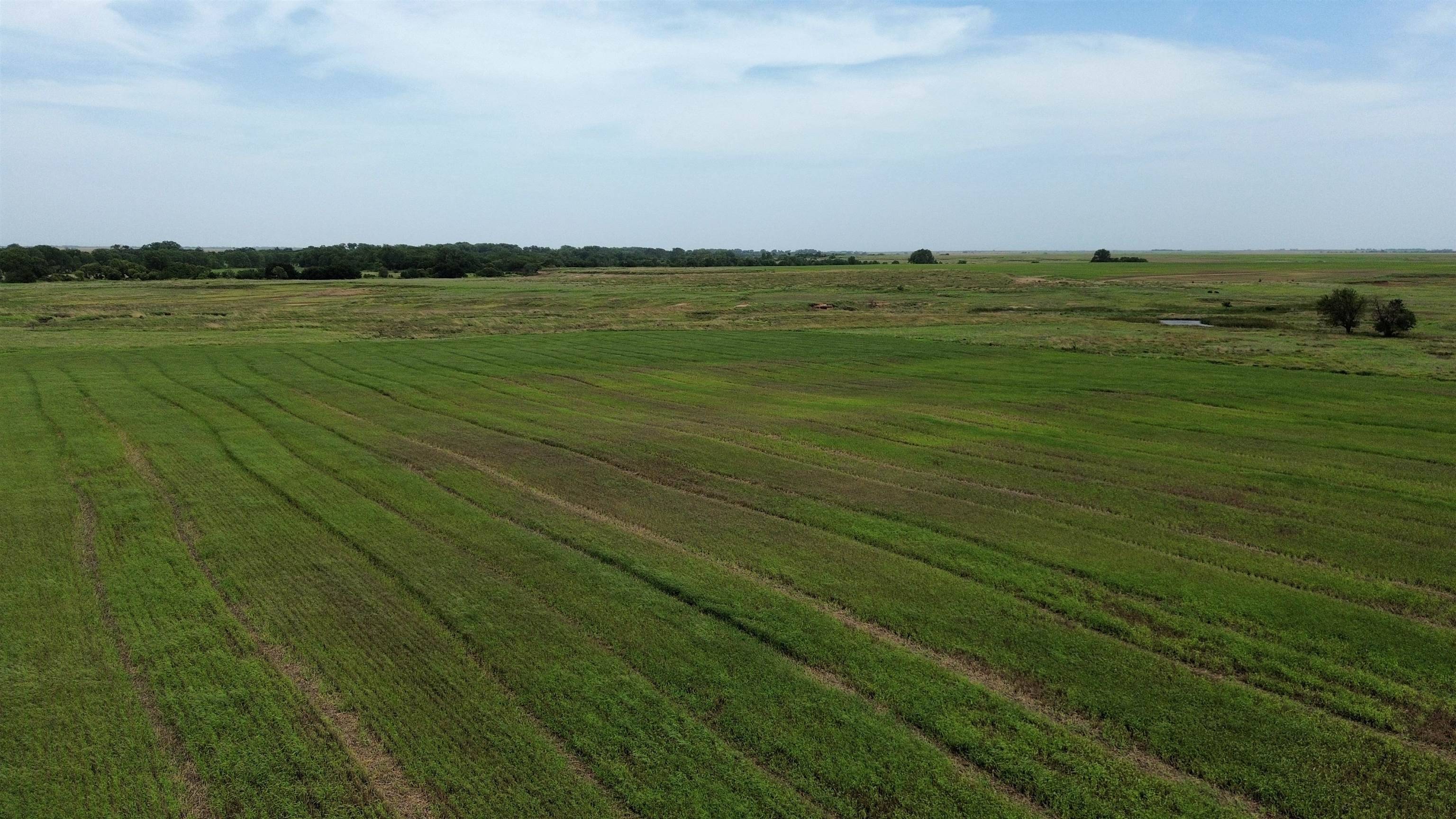 S Argonia Road, Caldwell, KS 67022