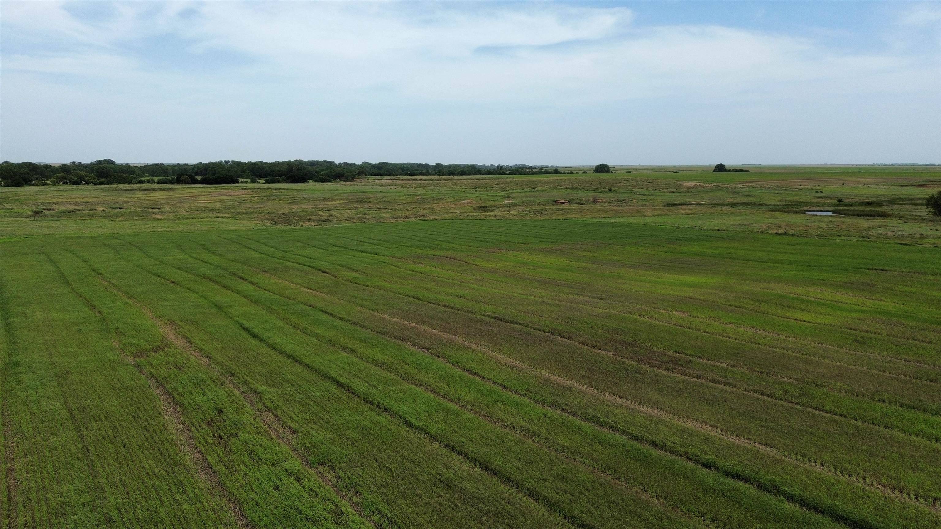 S Argonia Road, Caldwell, KS 67022